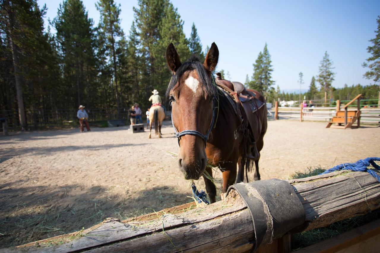 Headwaters Lodge & Cabins At Flagg Ranch موران المظهر الخارجي الصورة