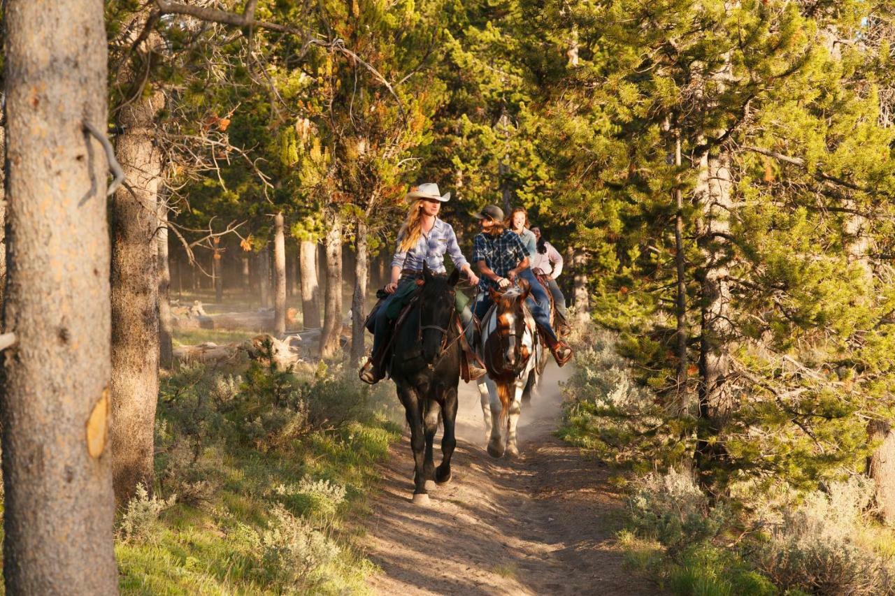 Headwaters Lodge & Cabins At Flagg Ranch موران المظهر الخارجي الصورة